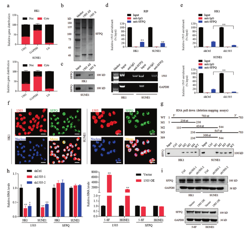 1633750508973742.png 1633750508973742.png