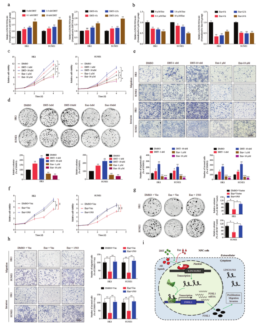 1633750793956094.png 1633750793956094.png