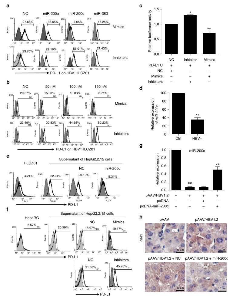shRNA慢病毒載體構(gòu)建-輝駿生物.png shRNA慢病毒載體構(gòu)建-輝駿生物.png