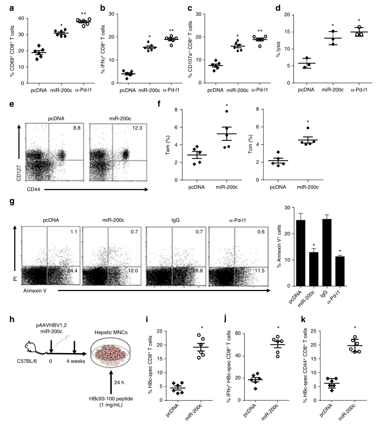 shRNA慢病毒載體構(gòu)建-輝駿生物.png shRNA慢病毒載體構(gòu)建-輝駿生物.png