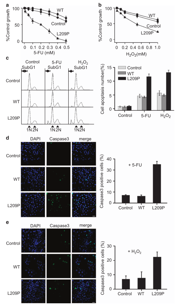 載體構(gòu)建服務(wù)-客戶文獻(xiàn)-輝駿生物.png 載體構(gòu)建服務(wù)-客戶文獻(xiàn)-輝駿生物.png