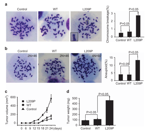 1633769066187964.png 1633769066187964.png