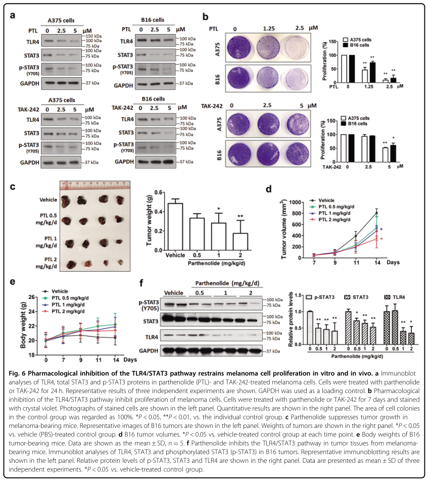 載體構(gòu)建服務(wù)-客戶文獻(xiàn)-輝駿生物.png 載體構(gòu)建服務(wù)-客戶文獻(xiàn)-輝駿生物.png