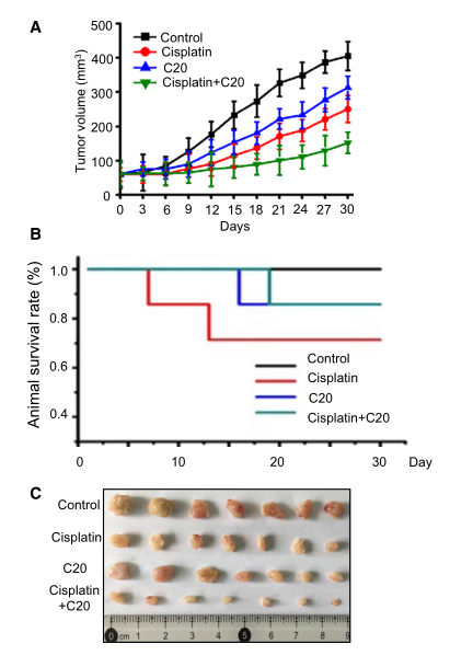 慢病毒包裝實驗-客戶文獻-輝駿生物.png 慢病毒包裝實驗-客戶文獻-輝駿生物.png