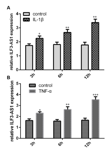 載體構(gòu)建服務(wù)-客戶文獻-輝駿生物.png 載體構(gòu)建服務(wù)-客戶文獻-輝駿生物.png