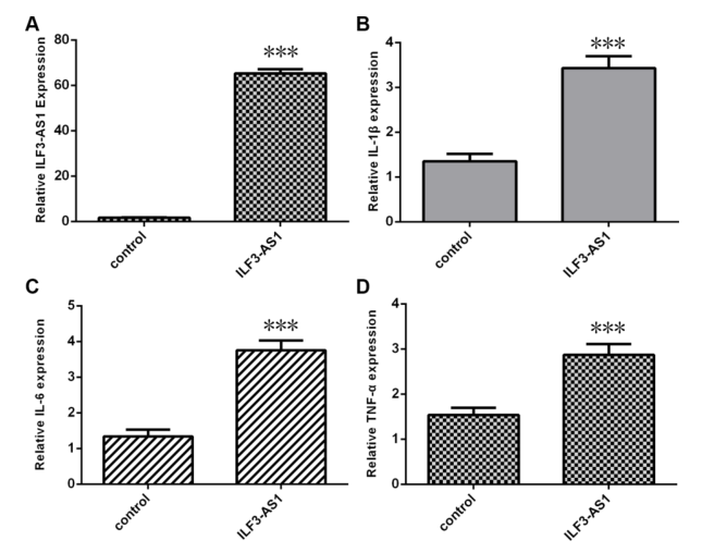 載體構(gòu)建服務(wù)-客戶文獻-輝駿生物.png 載體構(gòu)建服務(wù)-客戶文獻-輝駿生物.png