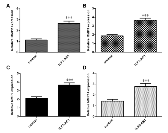 載體構(gòu)建服務(wù)-客戶文獻-輝駿生物.png 載體構(gòu)建服務(wù)-客戶文獻-輝駿生物.png