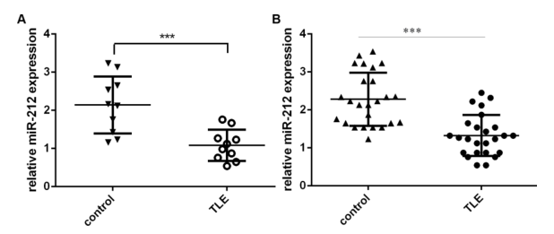載體構(gòu)建服務(wù)-客戶文獻-輝駿生物.png 載體構(gòu)建服務(wù)-客戶文獻-輝駿生物.png
