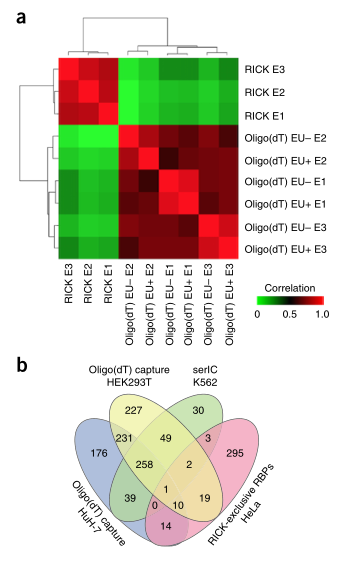 LC-MS/MS蛋白質(zhì)譜鑒定-客戶文獻-輝駿生物.png LC-MS/MS蛋白質(zhì)譜鑒定-客戶文獻-輝駿生物.png