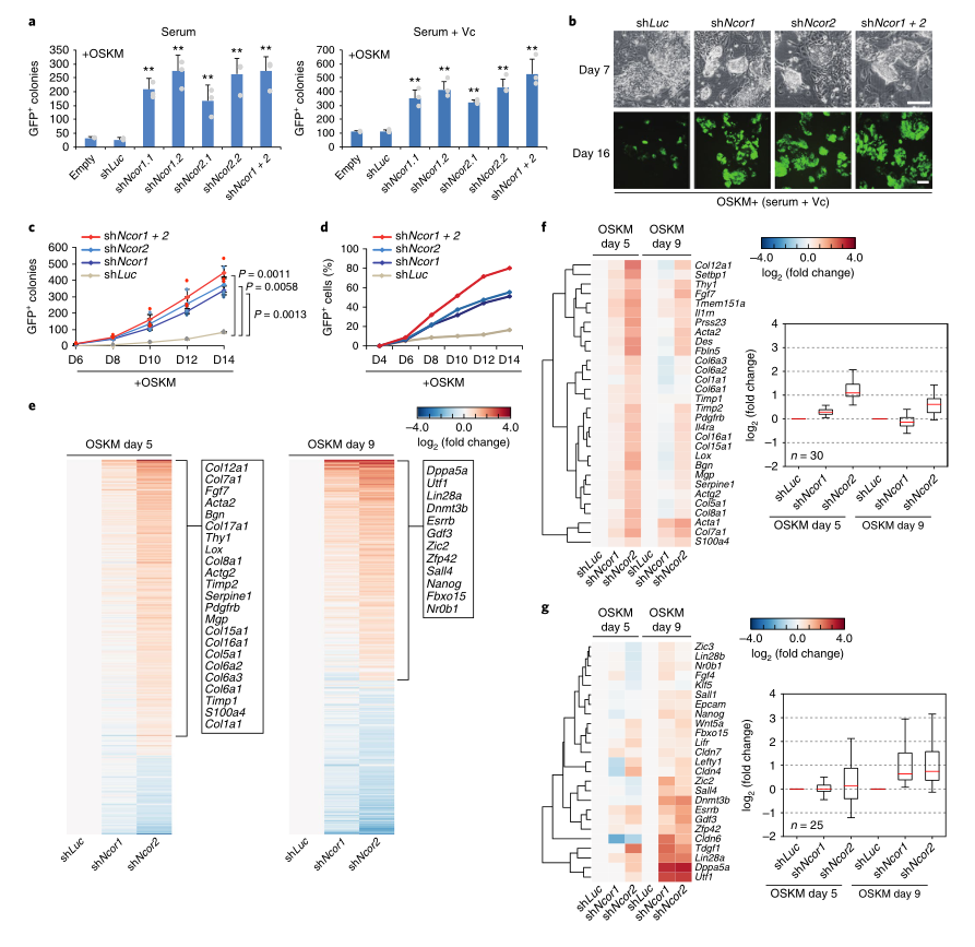 LC-MS/MS蛋白質(zhì)譜鑒定-客戶文獻-輝駿生物.png LC-MS/MS蛋白質(zhì)譜鑒定-客戶文獻-輝駿生物.png