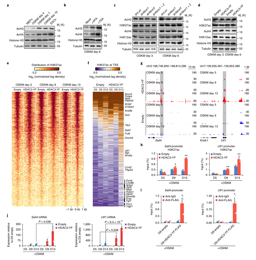 LC-MS/MS蛋白質(zhì)譜鑒定-客戶文獻-輝駿生物.png LC-MS/MS蛋白質(zhì)譜鑒定-客戶文獻-輝駿生物.png