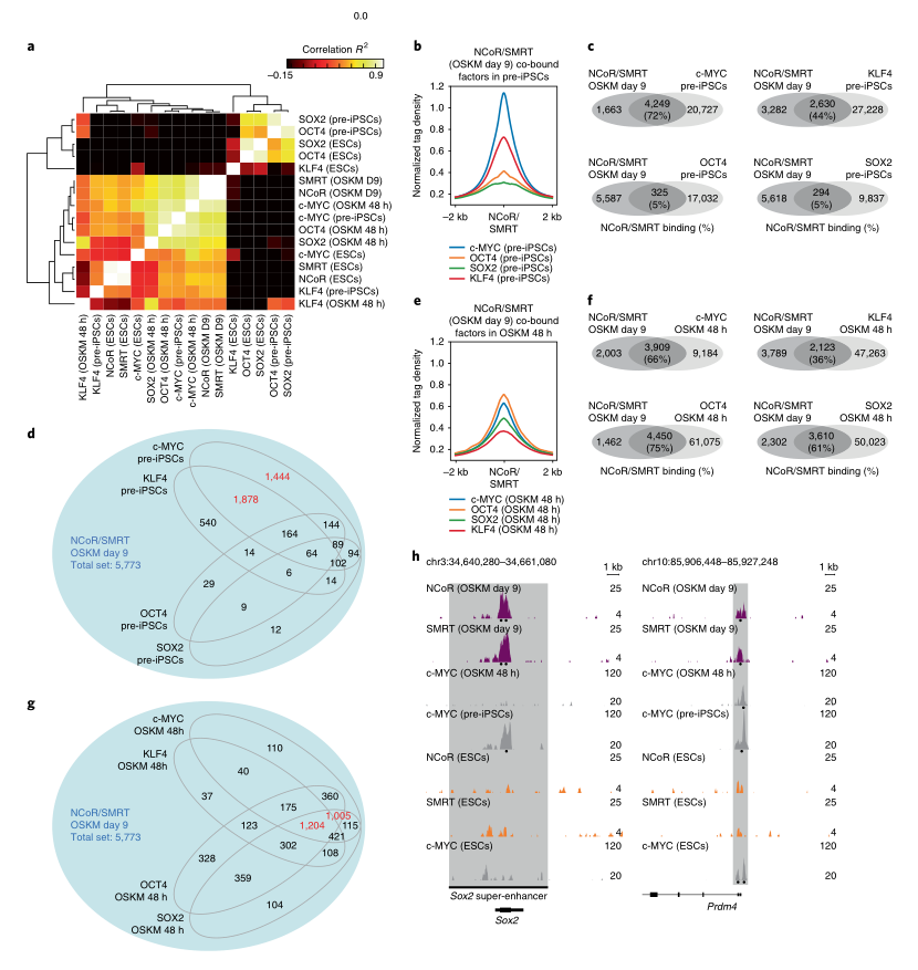 LC-MS/MS蛋白質(zhì)譜鑒定-客戶文獻-輝駿生物.png LC-MS/MS蛋白質(zhì)譜鑒定-客戶文獻-輝駿生物.png