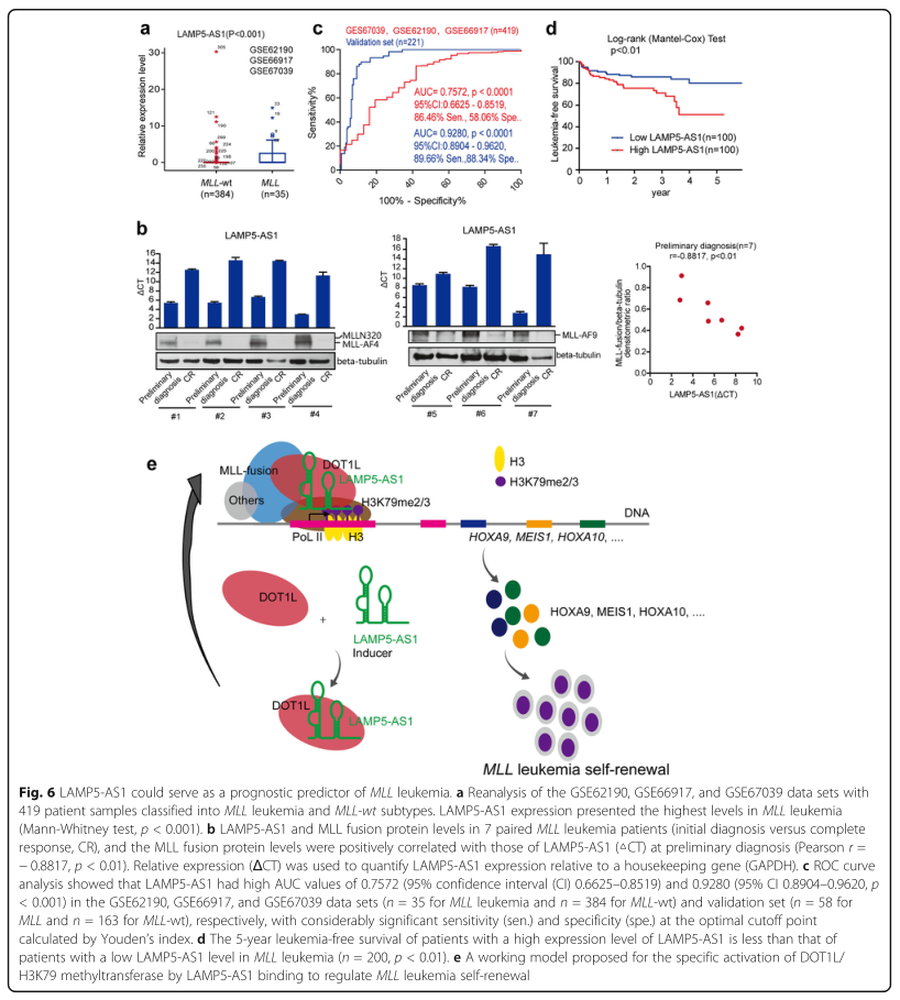RNA pull down MS結(jié)合蛋白鑒定-客戶文獻(xiàn)-輝駿生物.png RNA pull down MS結(jié)合蛋白鑒定-客戶文獻(xiàn)-輝駿生物.png