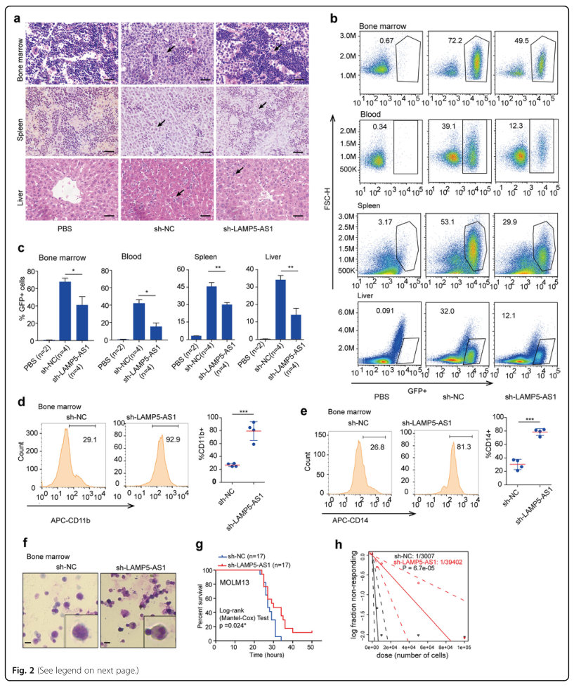 LC-MS/MS蛋白質(zhì)譜鑒定、LC-MS/MS、質(zhì)譜鑒定