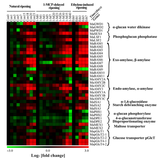 iTRAQ蛋白質(zhì)組學(xué)分析、itraq實驗服務(wù)、iTRAQ技術(shù)