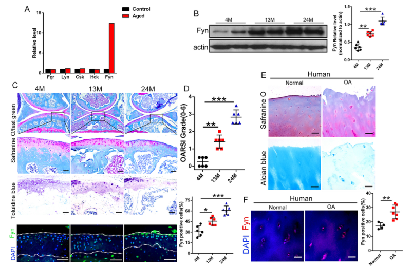 iTRAQ蛋白質(zhì)組學(xué)分析、itraq實驗服務(wù)、iTRAQ技術(shù)