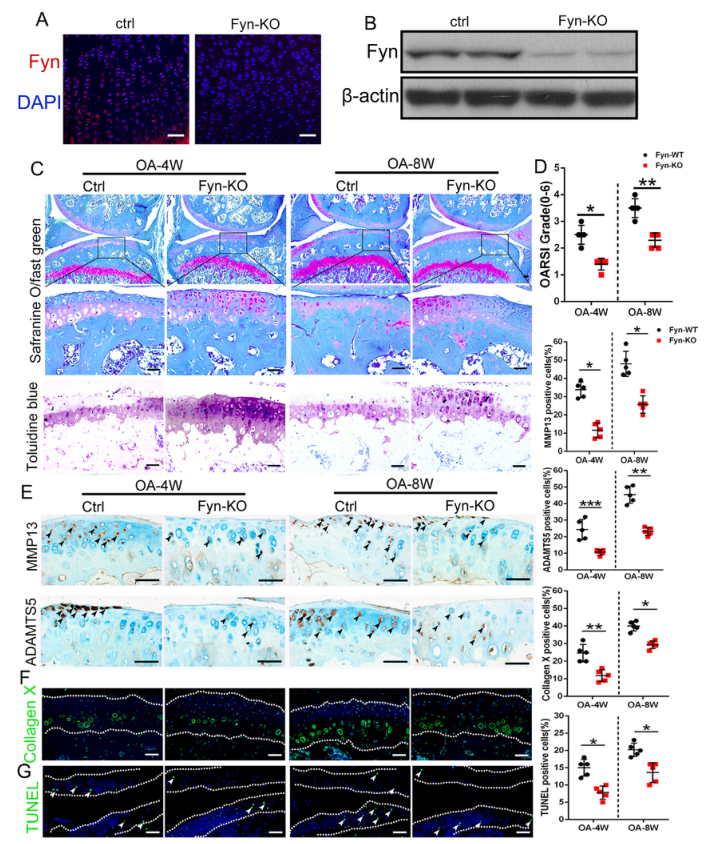 iTRAQ蛋白質(zhì)組學(xué)分析、itraq實驗服務(wù)、iTRAQ技術(shù)