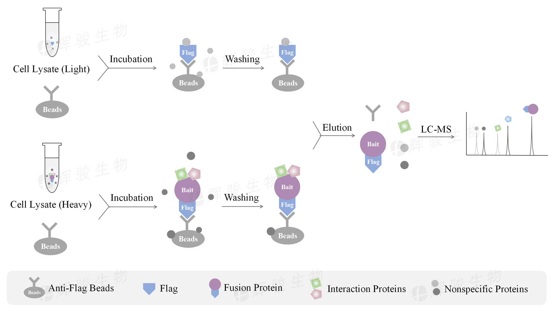 SILAC IP代做_silac ip外包平臺(tái).jpg