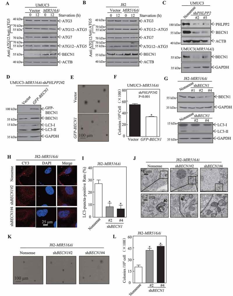 1661847681124921.jpg 1661847681124921.jpg