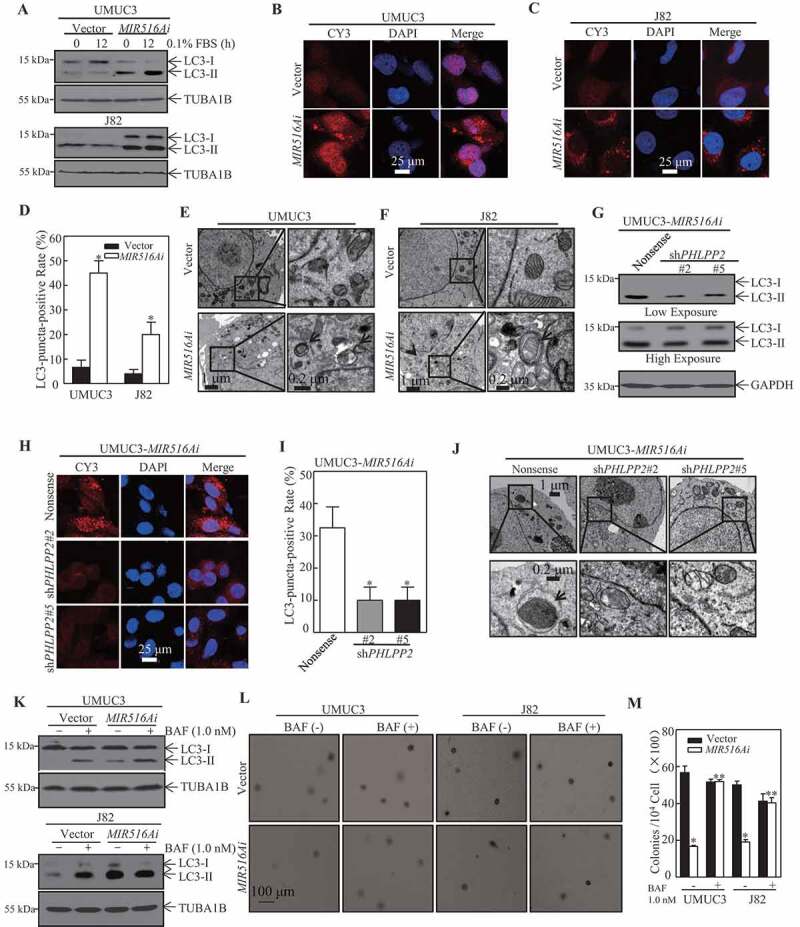 1661847697825005.jpg 1661847697825005.jpg