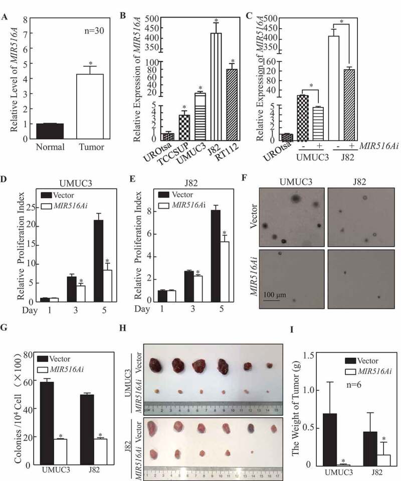 1661847758111198.jpg 1661847758111198.jpg