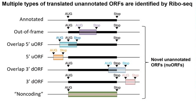 1670480734501320.png 圖片.png