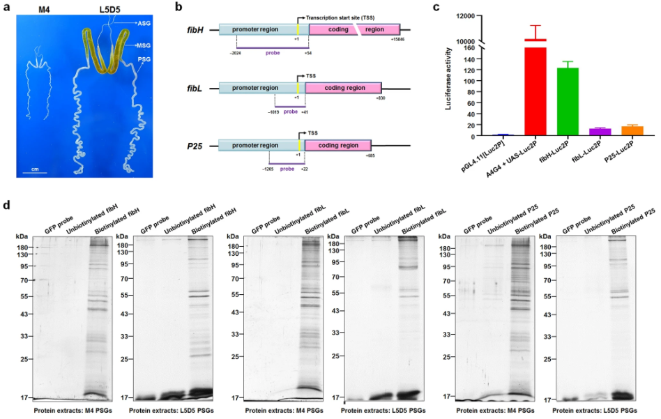 1683792616118173.png 圖片1.png