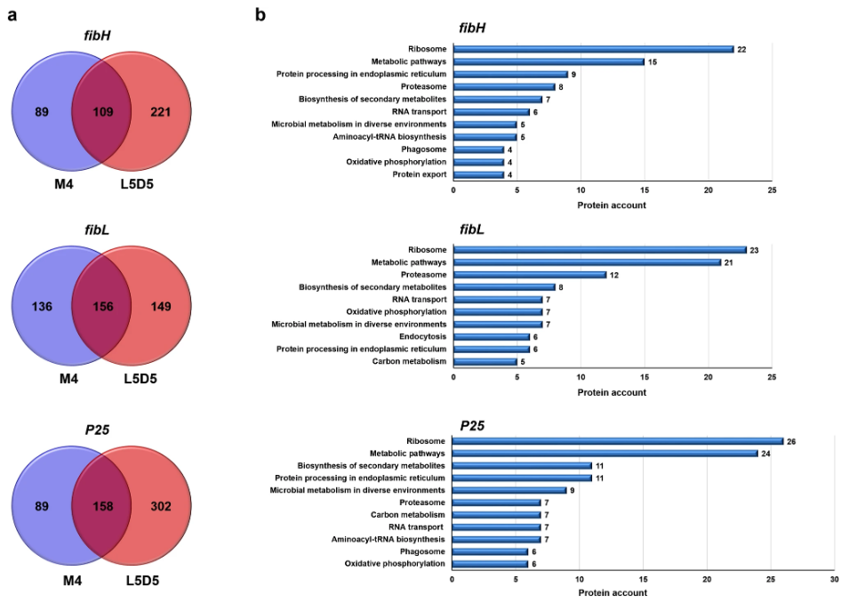 1683792656234135.png 圖片2.png