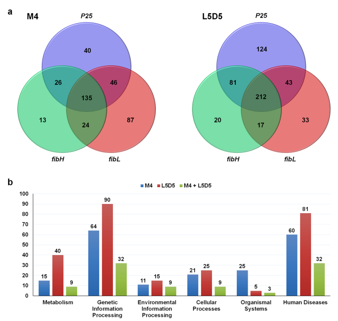 1683792755608426.png 圖片4.png