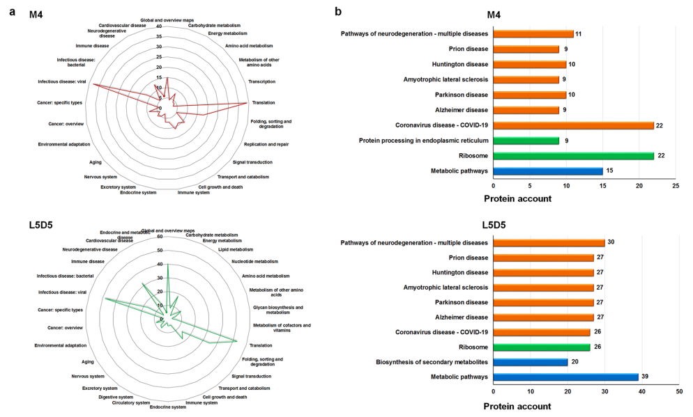 1683792777109343.png 圖片5.png