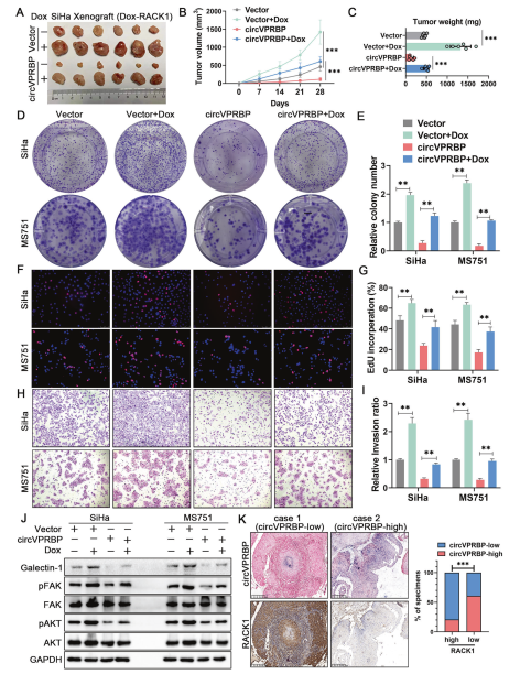 1684828691325191.png 圖片8.png