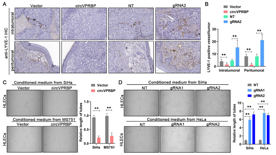 1684828786106692.png 圖片3.png