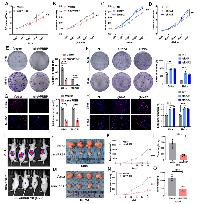 1684828826894501.png 圖片4.png