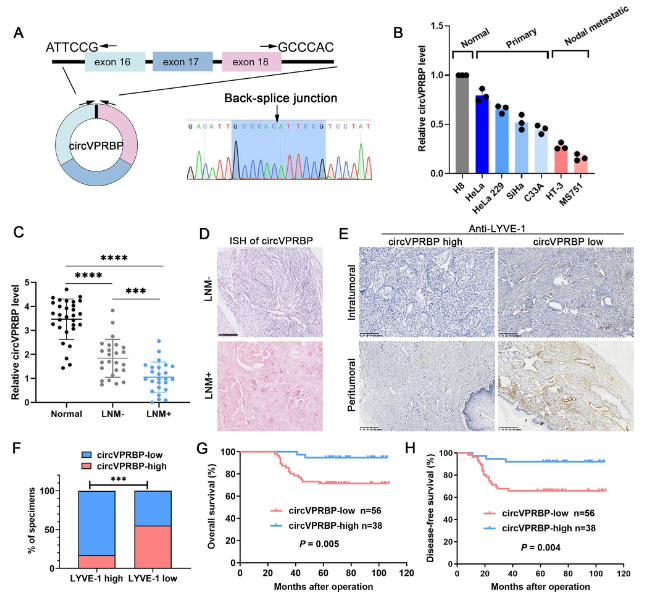 1684828867119525.png 圖片1.png