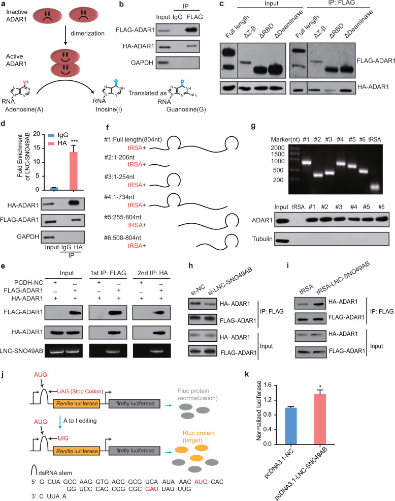 質(zhì)譜鑒定外包實(shí)驗(yàn)-輝駿生物專業(yè)檢測(cè)-lc-ms/ms服務(wù)到投稿 質(zhì)譜鑒定外包實(shí)驗(yàn)-輝駿生物專業(yè)檢測(cè)-lc-ms/ms服務(wù)到投稿