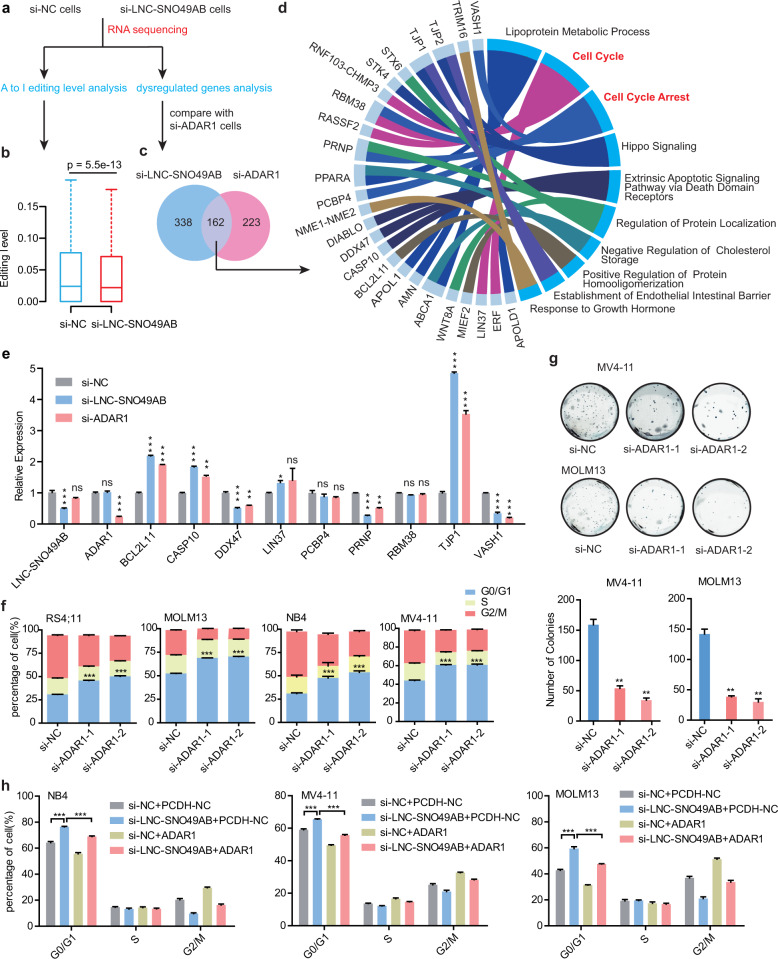 質(zhì)譜檢測(cè)原理-質(zhì)譜鑒定蛋白-輝駿生物 質(zhì)譜檢測(cè)原理-質(zhì)譜鑒定蛋白-輝駿生物