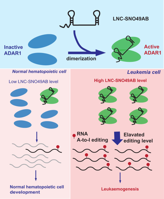LC-MS/MS質(zhì)譜鑒定技術(shù)服務(wù)參數(shù)-價(jià)格-實(shí)驗(yàn)周期-輝駿生物全程質(zhì)譜鑒定技術(shù)服務(wù)保證 LC-MS/MS質(zhì)譜鑒定技術(shù)服務(wù)參數(shù)-價(jià)格-實(shí)驗(yàn)周期-輝駿生物全程質(zhì)譜鑒定技術(shù)服務(wù)保證