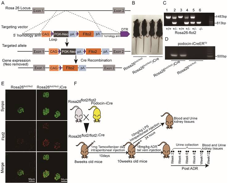 1687765993118079.png 圖片4.png