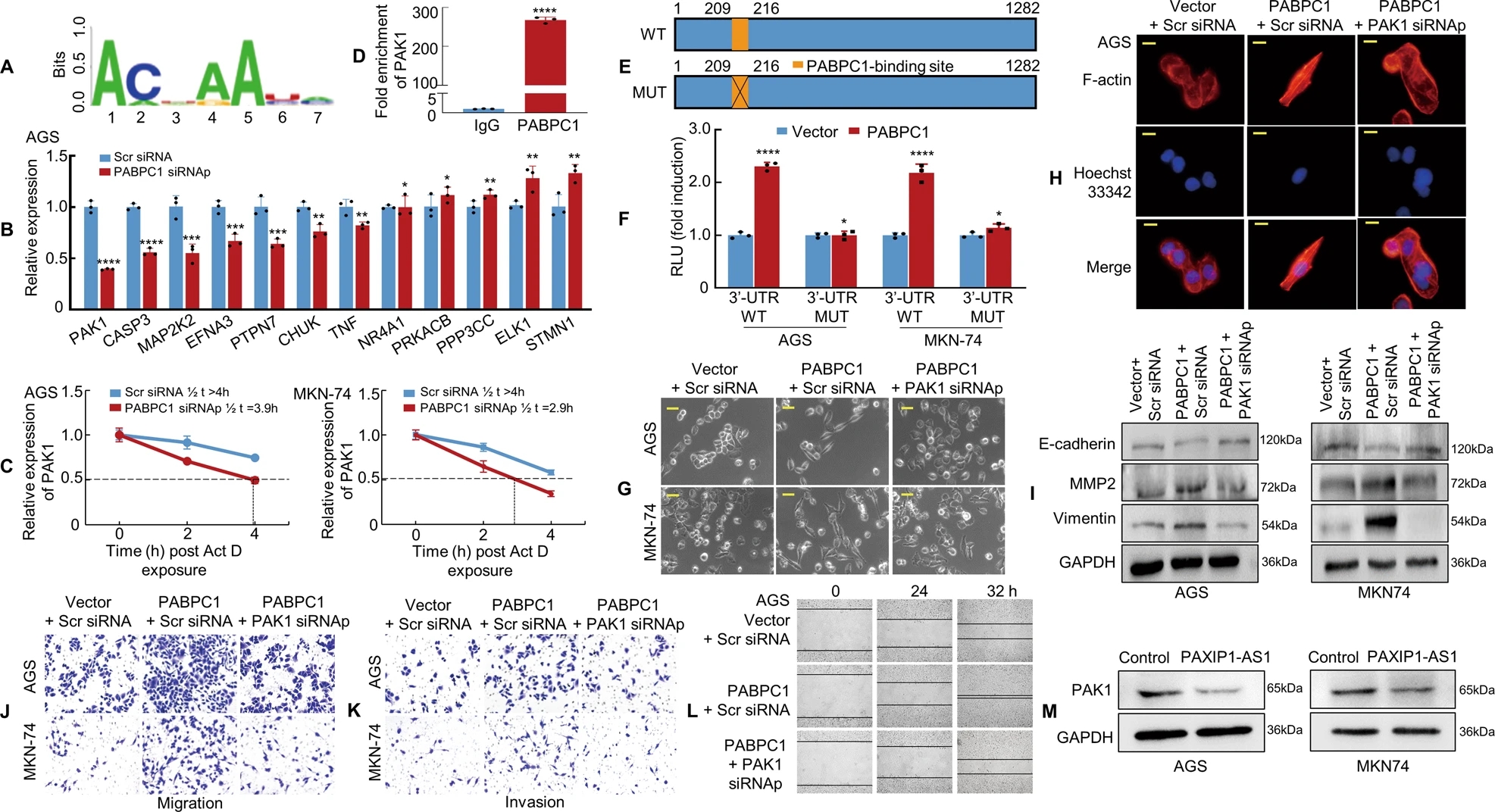 1689236554779908.jpg 1689236554779908.jpg