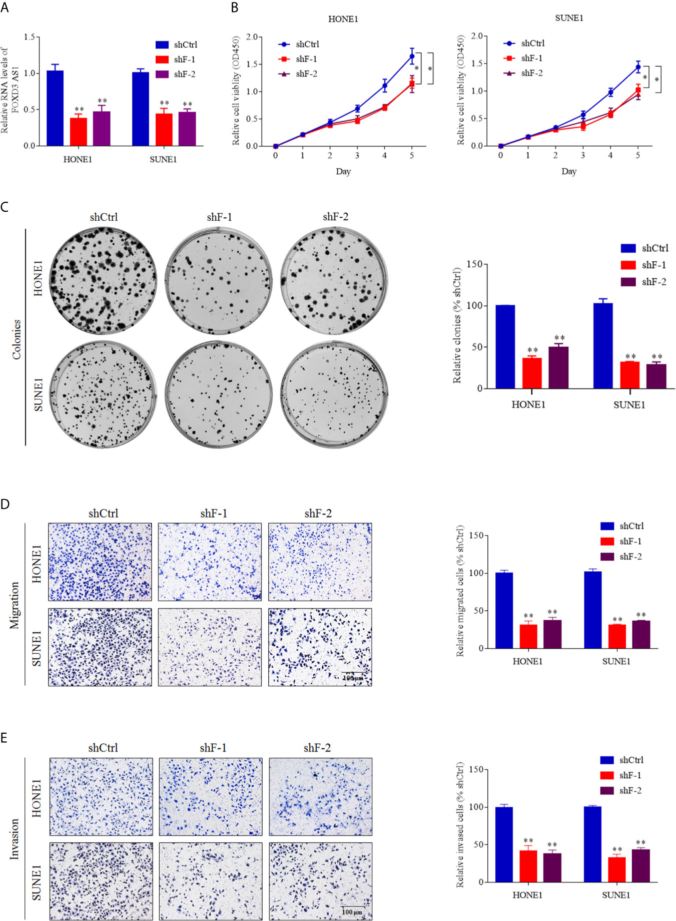 1689317658982544.jpg 1689317658982544.jpg