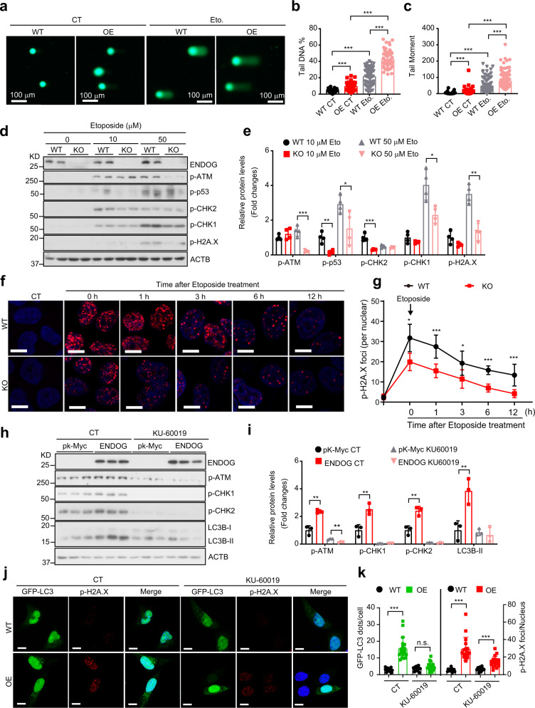 1690445137880516.jpg 1690445137880516.jpg