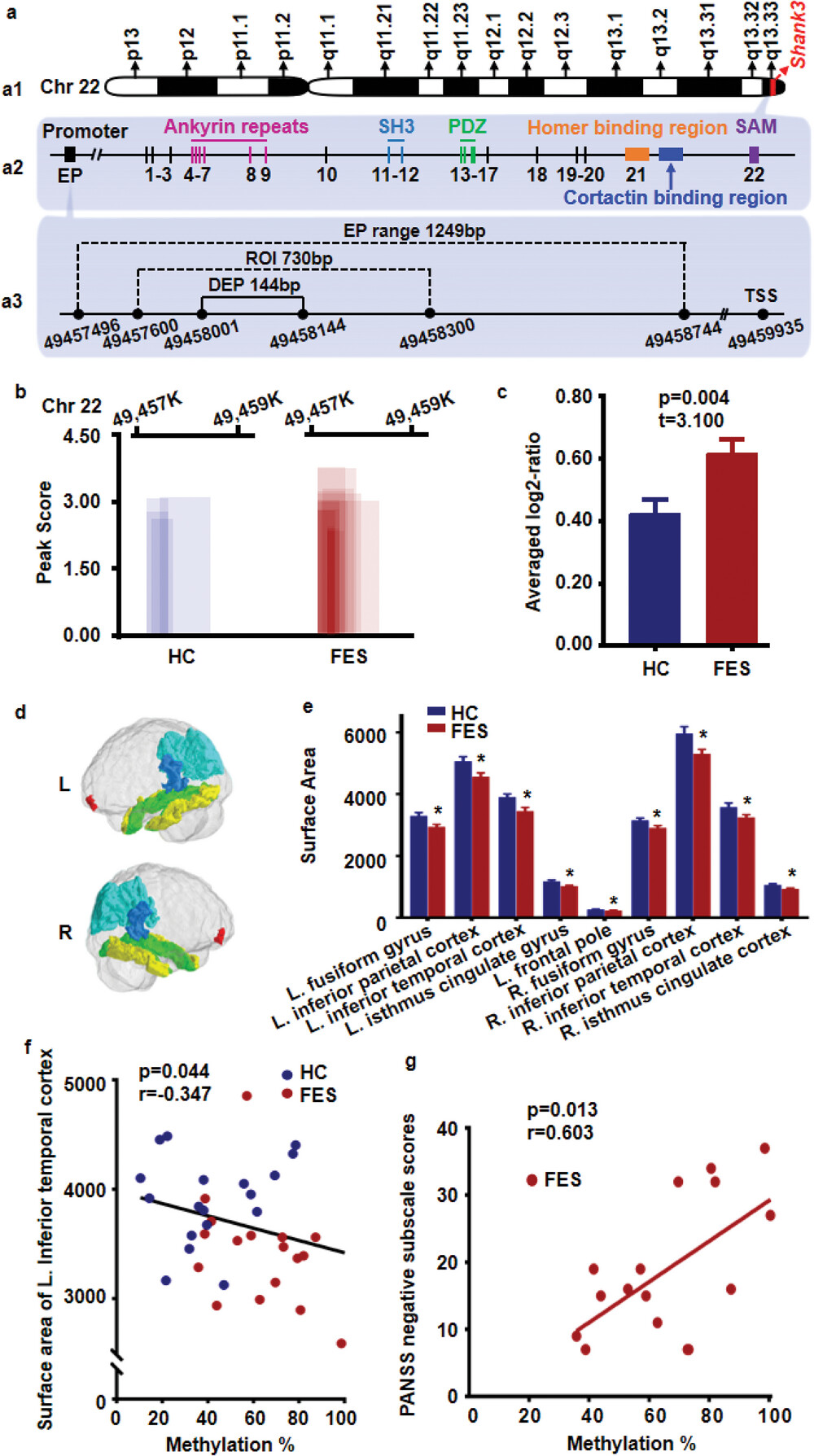 1695627013185165.jpg 1695627013185165.jpg