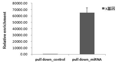 輝駿生物miRNA pull down qPCR檢測結(jié)果（陽性）