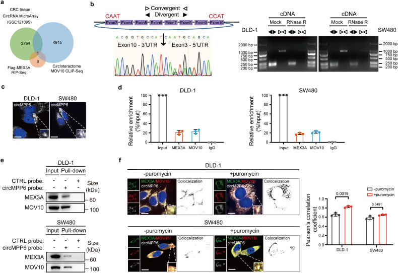 1721973596657740.jpg 1721973596657740.jpg