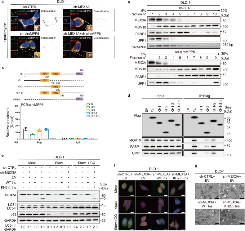 1721973618518102.jpg 1721973618518102.jpg