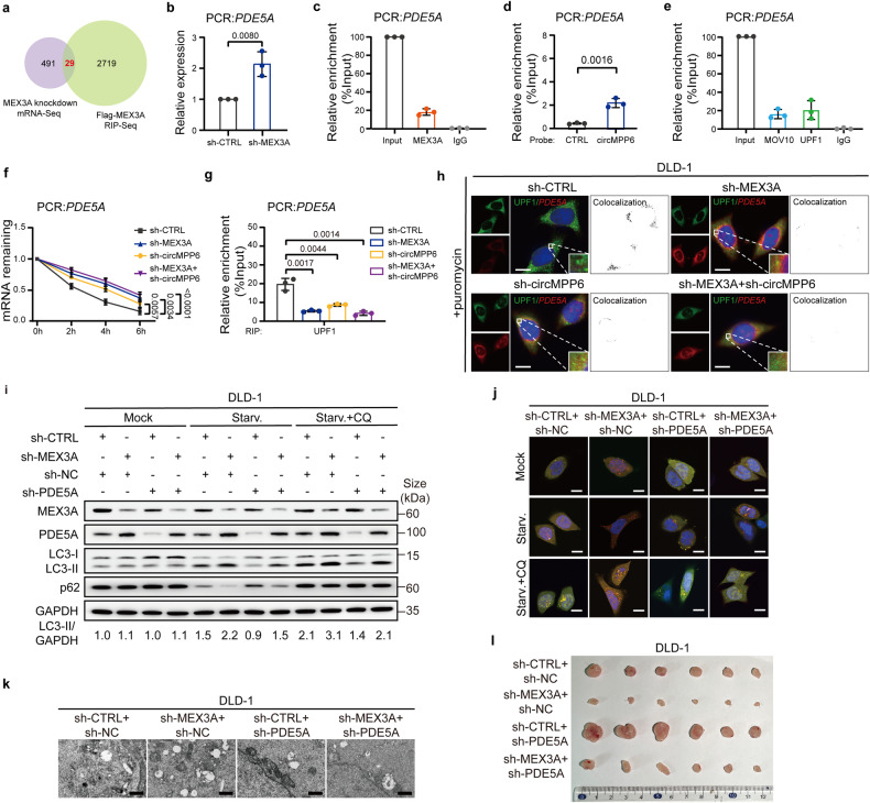 1721973778747289.jpg 1721973778747289.jpg