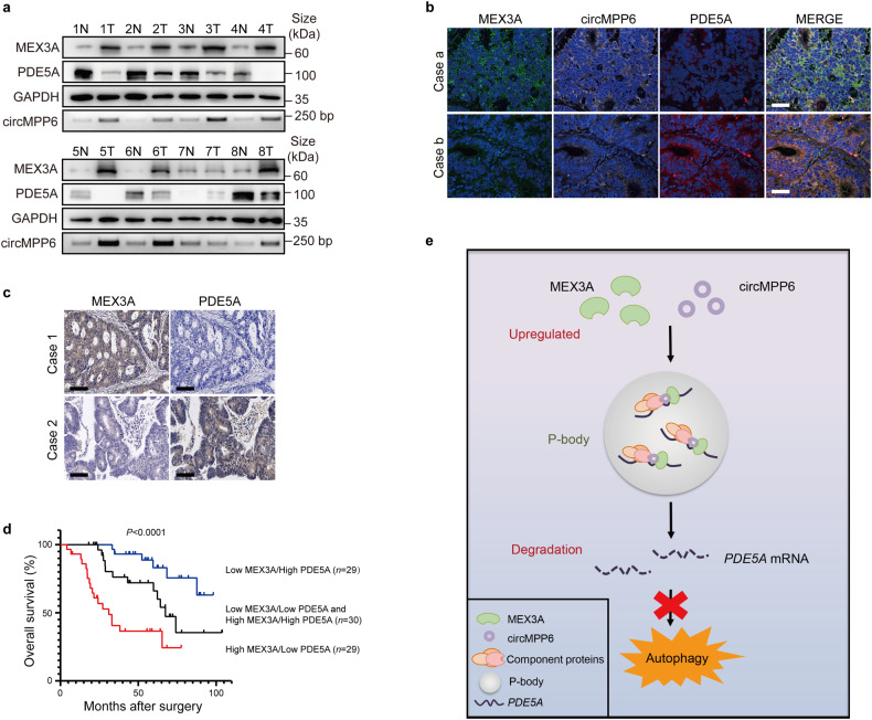 1721973800965245.jpg 1721973800965245.jpg