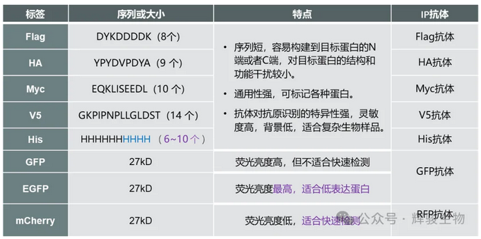 1767687766734810.png image.png