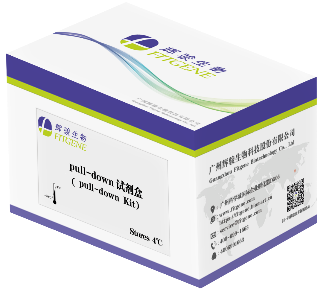 [FI8805] His pull-down試劑盒