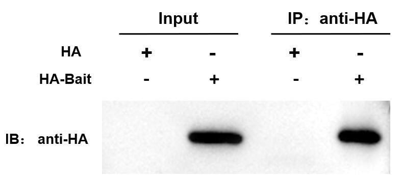 1777368397908271.jpg